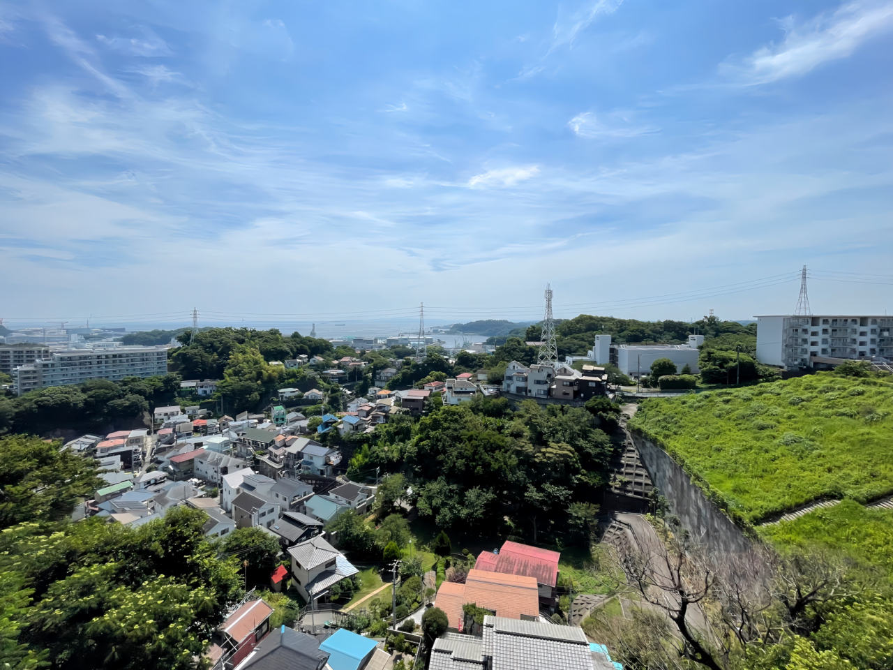 IMG_0229[1]-1